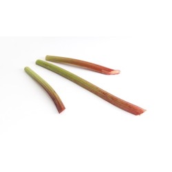 Rhubarbe bio