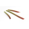Rhubarbe bio