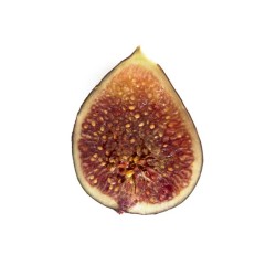 Figue fraiche bio