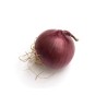 Oignon rouge bio