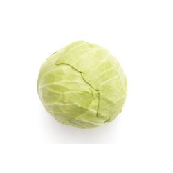 Chou vert bio