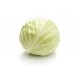 Chou lisse bio