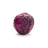 Chou rouge bio