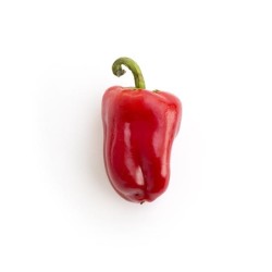 Mini poivrons bio
