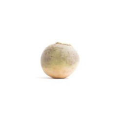 Rutabaga bio