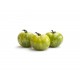 Tomate Green Zébra bio