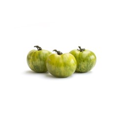 Tomates Green Zébra bio