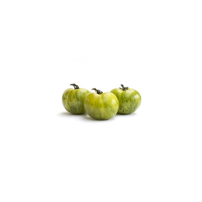 Tomates Green Zébra bio