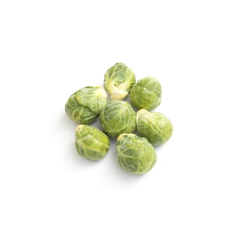 Choux bruxelles bio