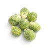 Choux bruxelles bio
