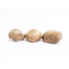 Champignons Shiitaké bio
