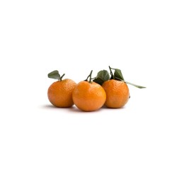Clémentines Corse Bio