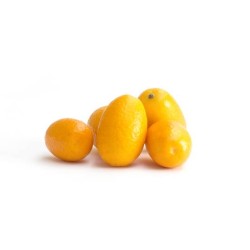 Kumquat bio