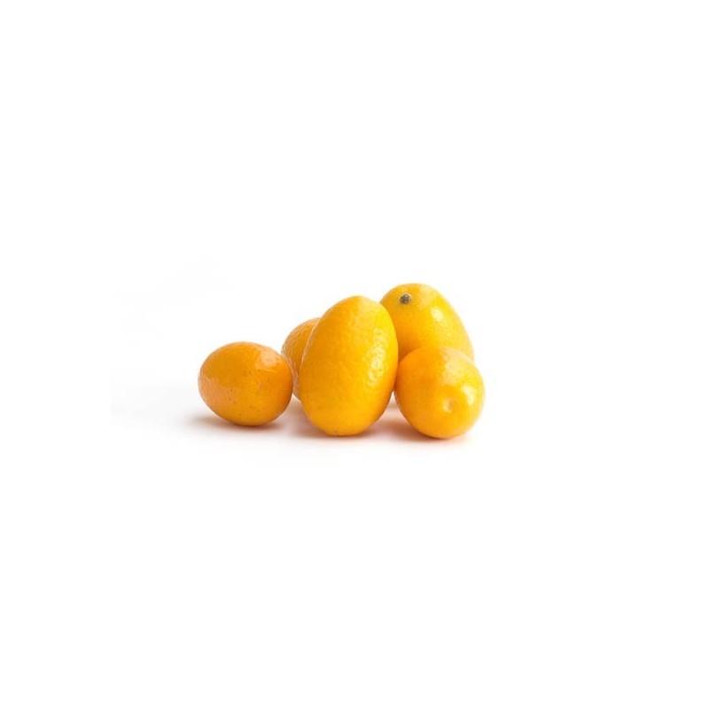 Kumquat bio