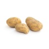Pommes de terre Allians bio
