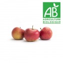Pomme Regalyou bio