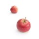 Pomme Regalyou bio