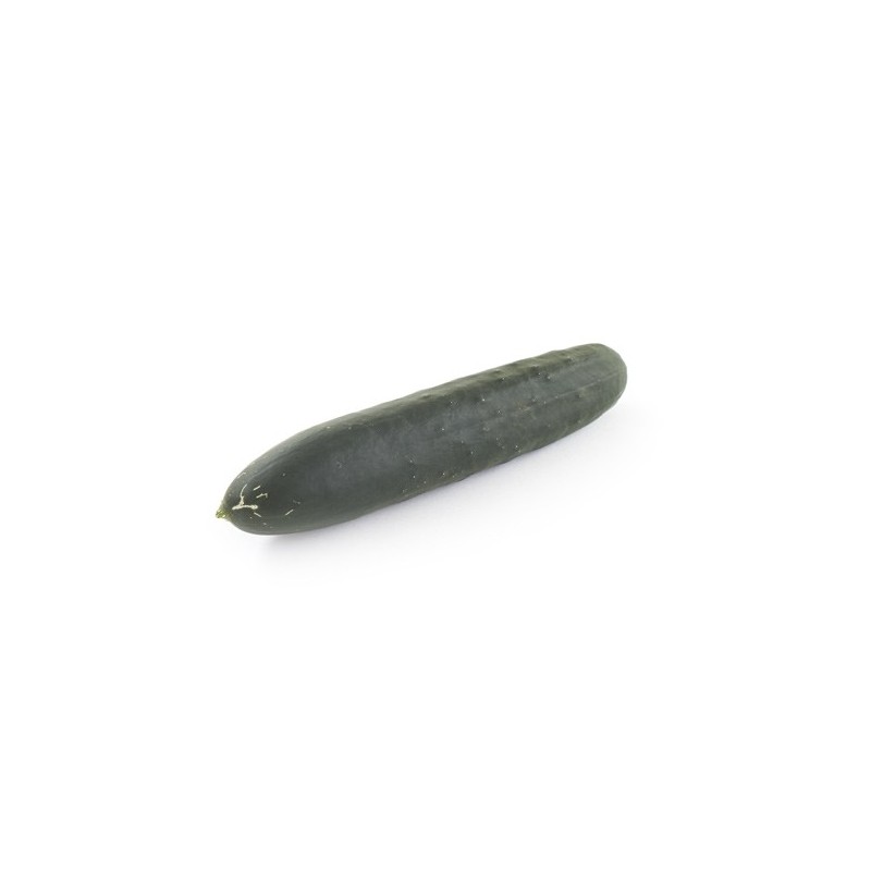 Concombre Noa Bio