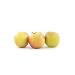 Pomme Jazz bio