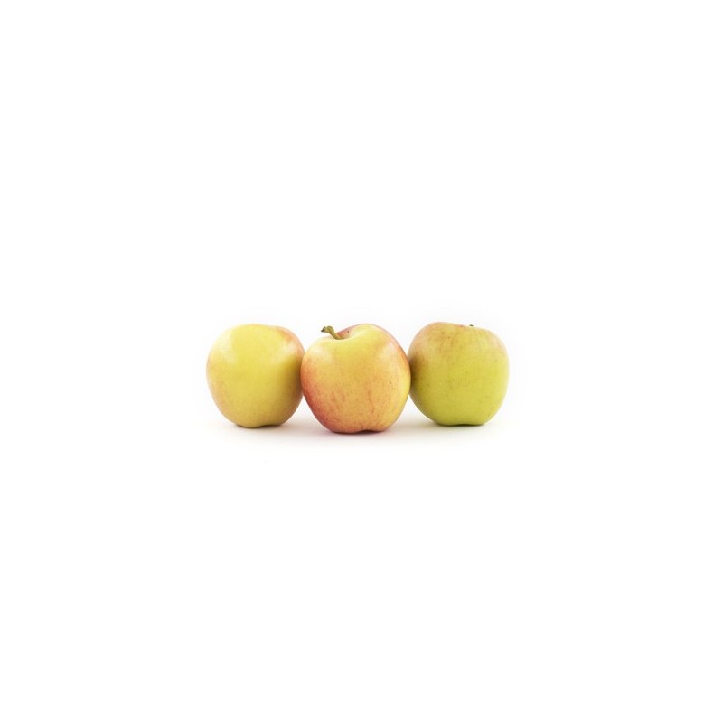 Pomme Jazz bio