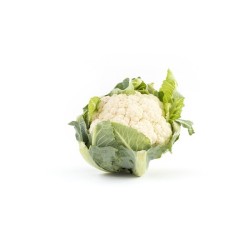 Chou fleur bio