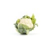 Chou fleur bio