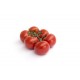 Tomate grappe bio