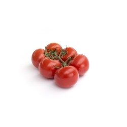 Tomates grappe bio