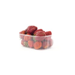 Fraises Magnum bio