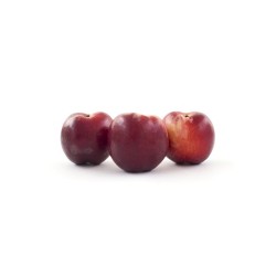 Nectarine blanche bio