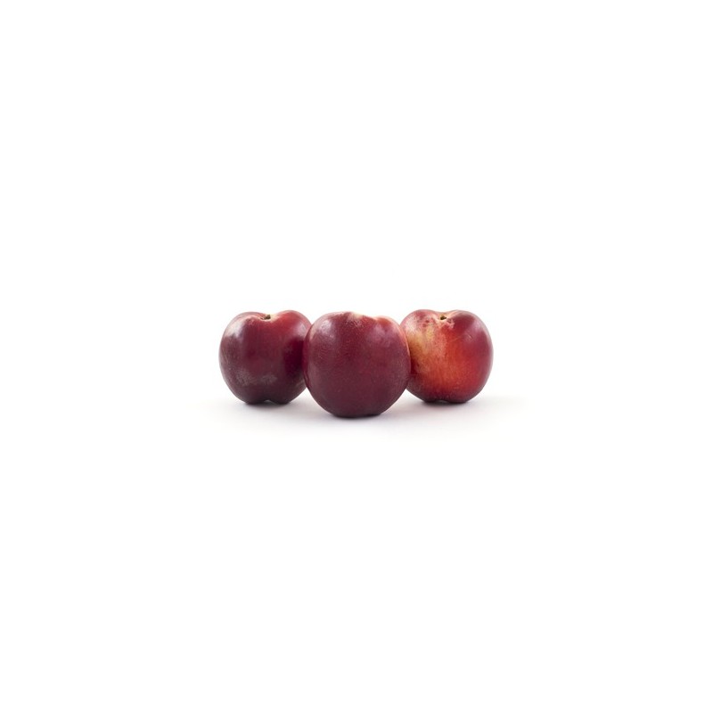 Nectarine blanche bio