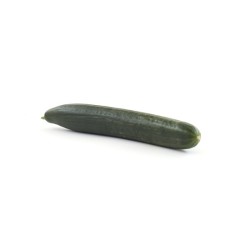 Concombre bio
