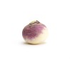 Navet violet Bio