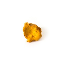 Champignons girolle bio