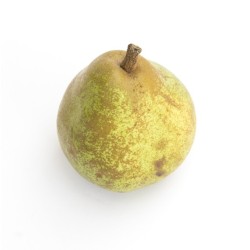 Poire Comice en conversion bio