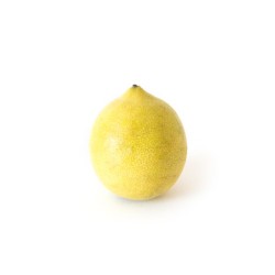 Citron jaune  bio