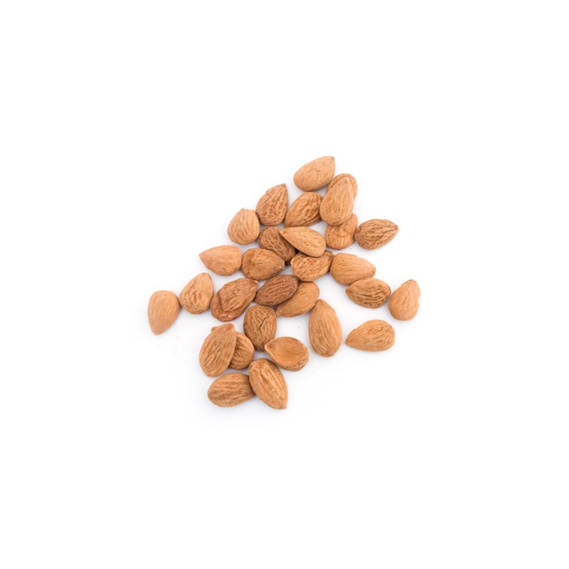 Amandes bio en coque de la garrigue : achat direct et livraison