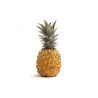 Ananas Victoria bio