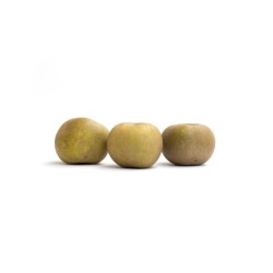 Pomme Canada Bio