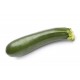 Courgette longue Bio