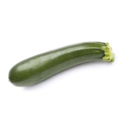 Courgette longue bio