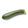 Courgette longue bio