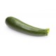 Courgette longue Bio