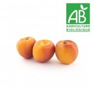 Abricot catégorie 1 bio