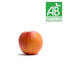Nectarine jaune bio