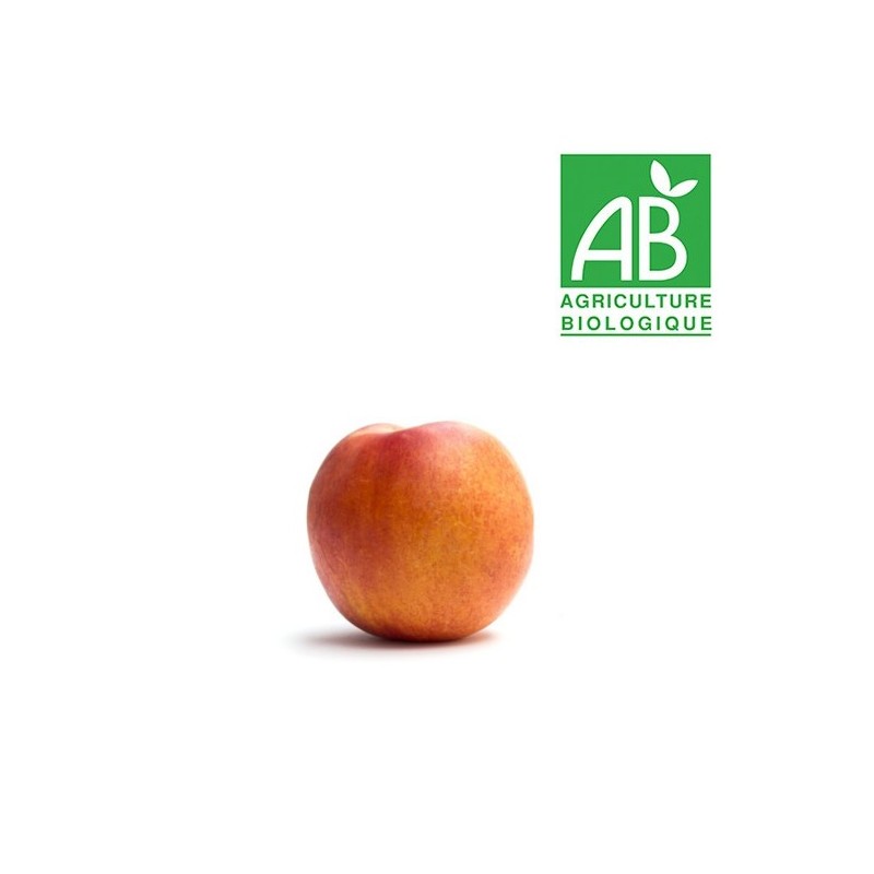 Nectarine jaune bio