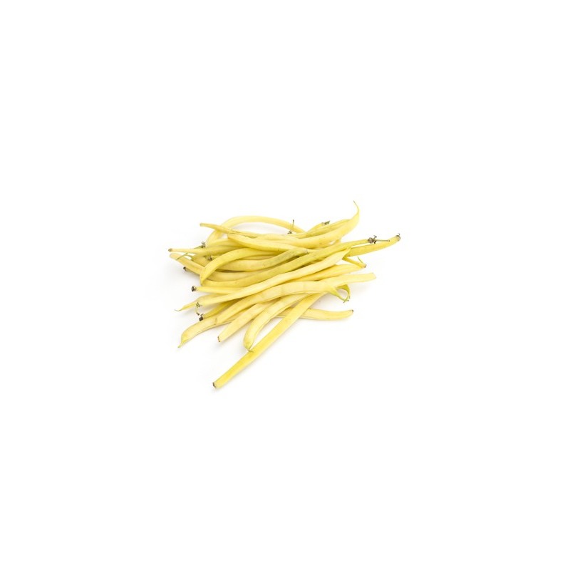 Haricot beurre Bio