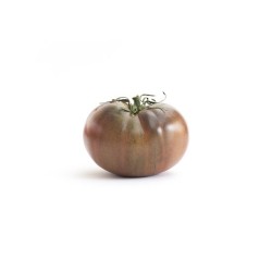 Tomates Noire de crimée bio