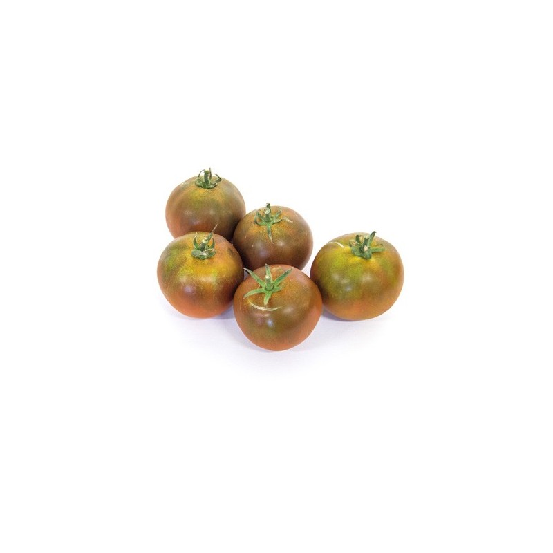 Tomate Cacao bio Tomate Cacao bio