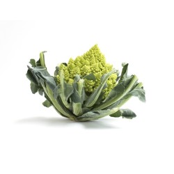 Choux romanesco Bio